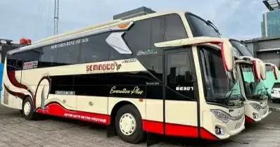 Sleeper Bus Super Nyaman Jadi Primadona